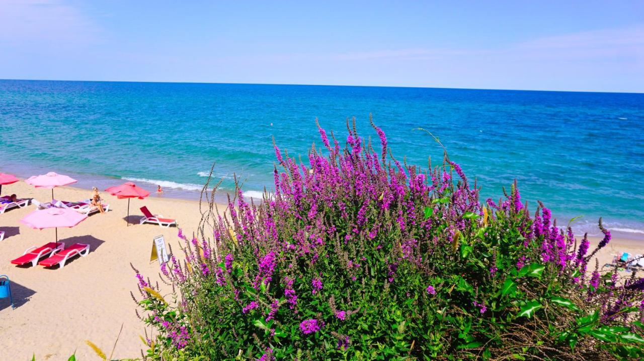 Byala Vista Beach Apartments D - Бяла Виста Бийч Апартментс Д Kültér fotó